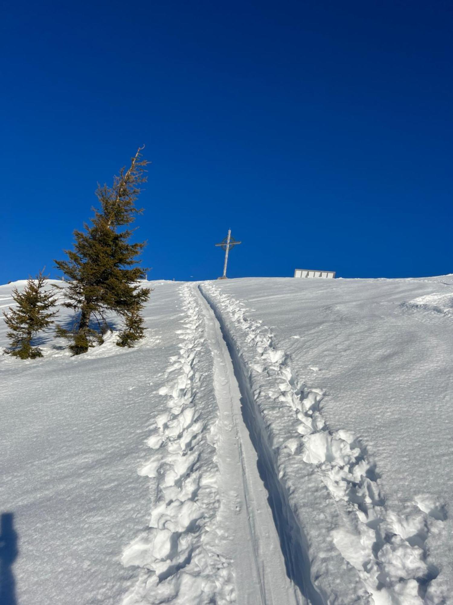Ferienwohnungen Unterfeld Alpbach Exteriér fotografie