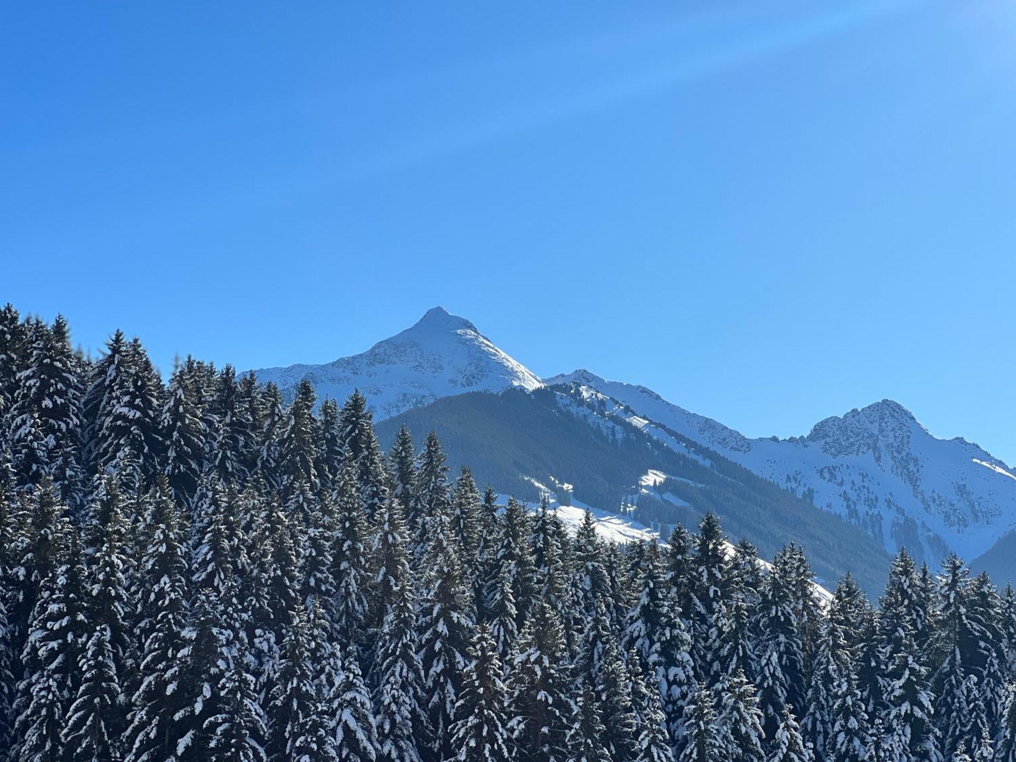 Ferienwohnungen Unterfeld Alpbach Exteriér fotografie