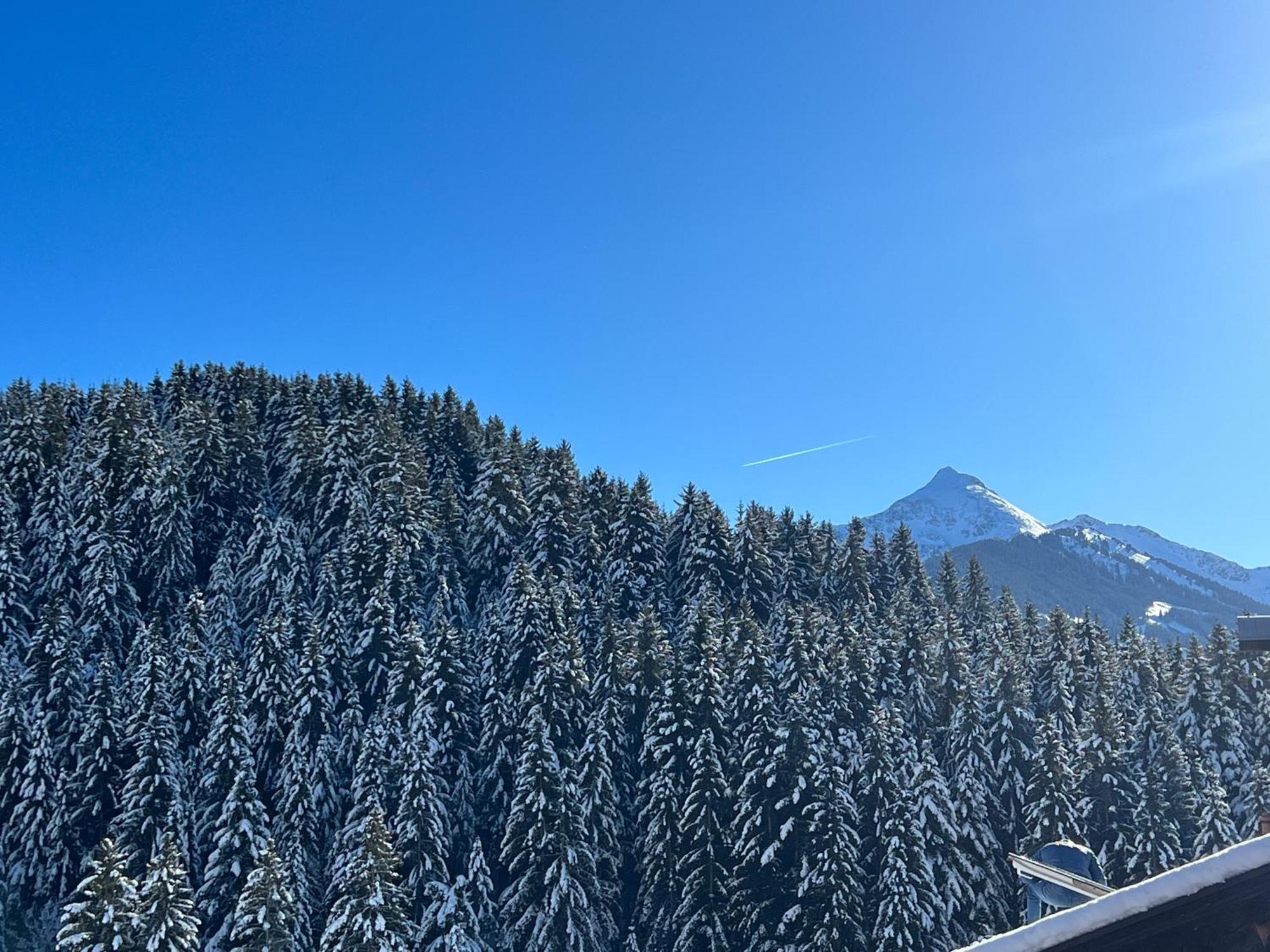 Ferienwohnungen Unterfeld Alpbach Exteriér fotografie