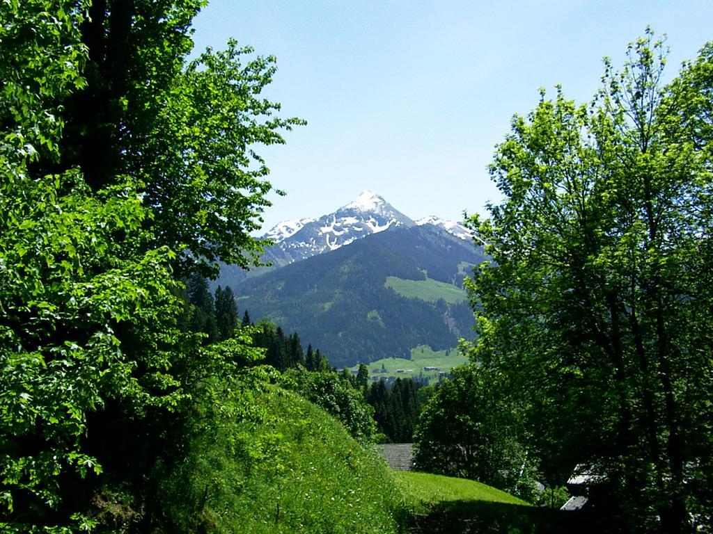 Ferienwohnungen Unterfeld Alpbach Exteriér fotografie