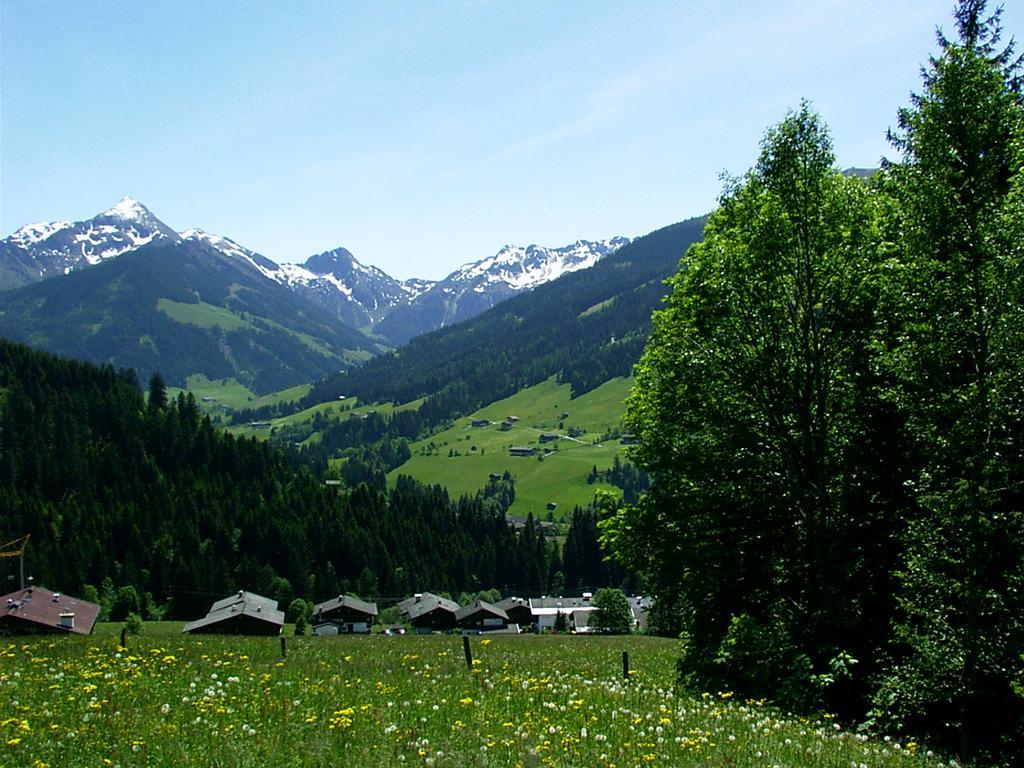 Ferienwohnungen Unterfeld Alpbach Exteriér fotografie