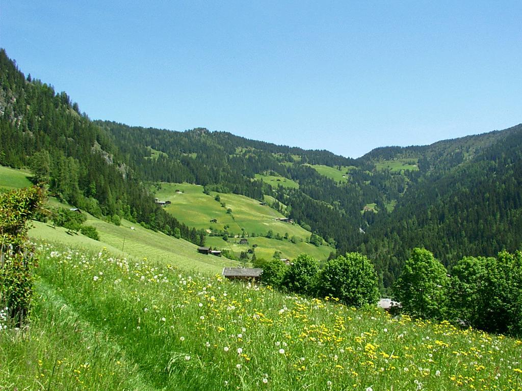 Ferienwohnungen Unterfeld Alpbach Exteriér fotografie